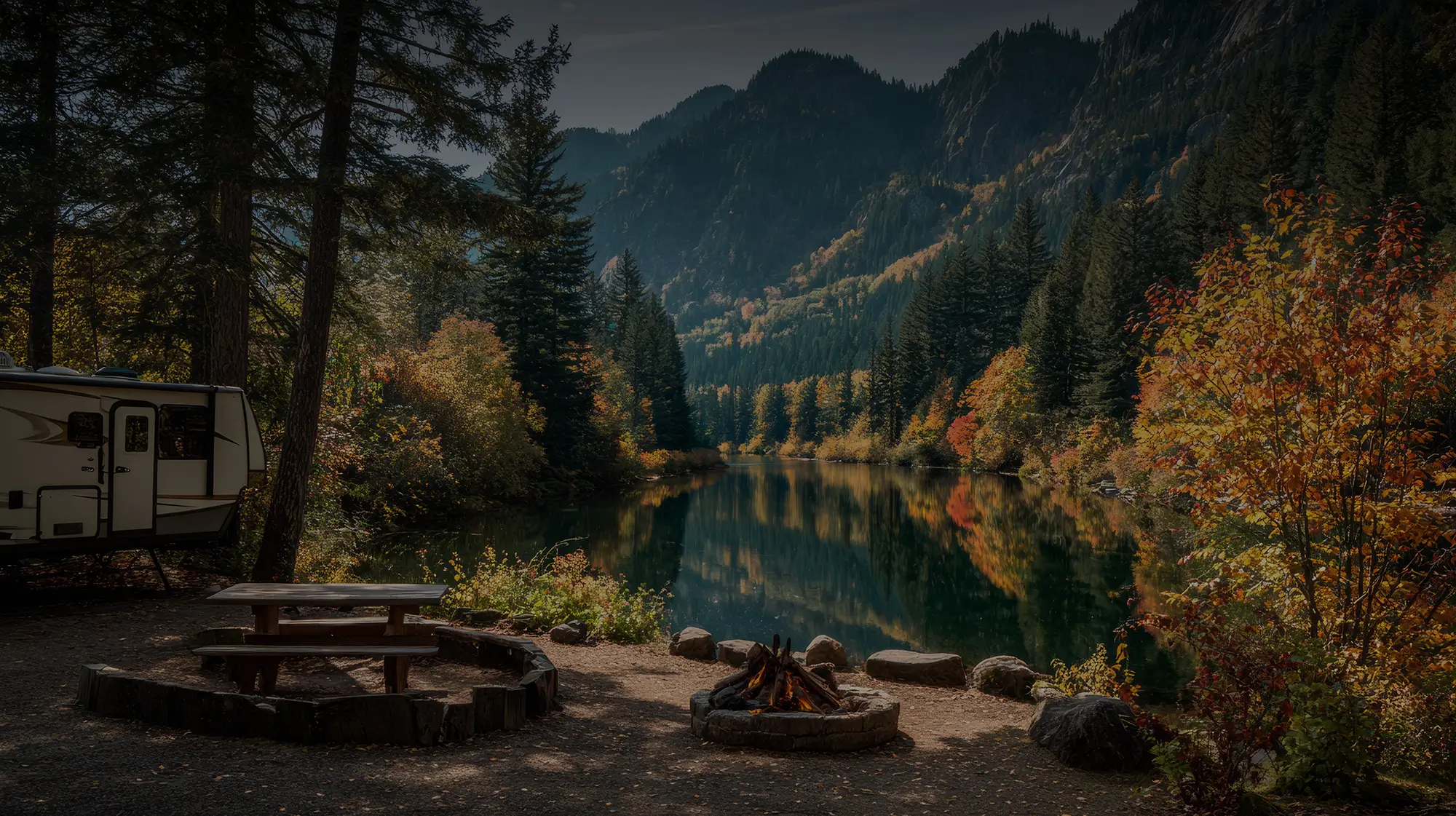 Forest campsite view